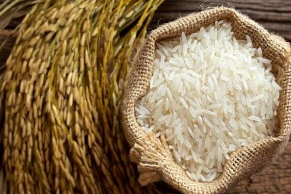 خرید برنج هاشمی درجه یک + قیمت فروش استثنایی